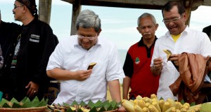 Kukurusukan Bareng Gubernur, Kepala BKKBN Jabar Pantau Program KKBPK di Jabar Selatan