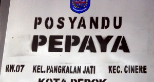 Warga Jawa Barat Paling Tahu Posyandu